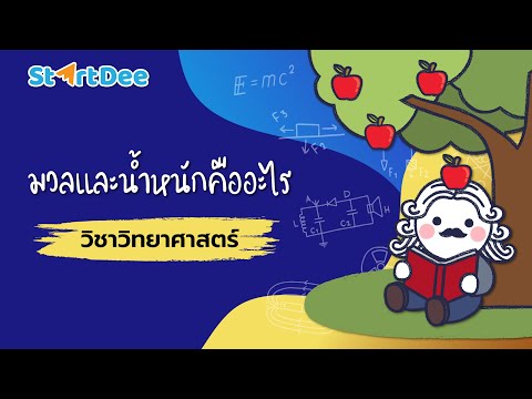 วิชาวิทยาศาสตร์  | มวลและน้ำหนักคืออะไร