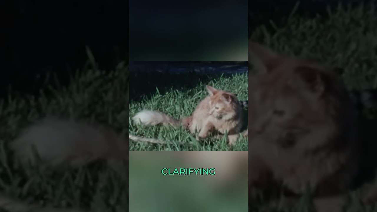 Прекратите винить общество: это ВАШЕ давление, ВАШ выбор!