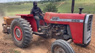 Trator Mf 265 Pequeno E Bruto Plantado Capim No Anafê