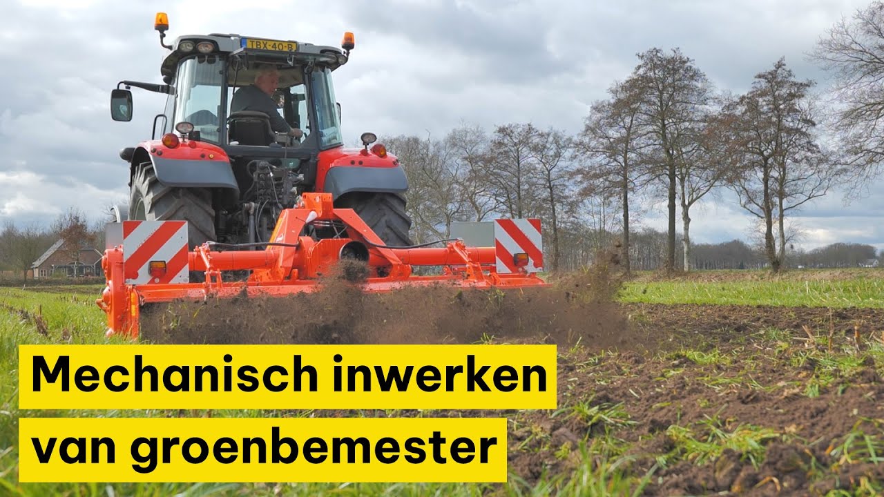 Mechanisch inwerken van groenbemester