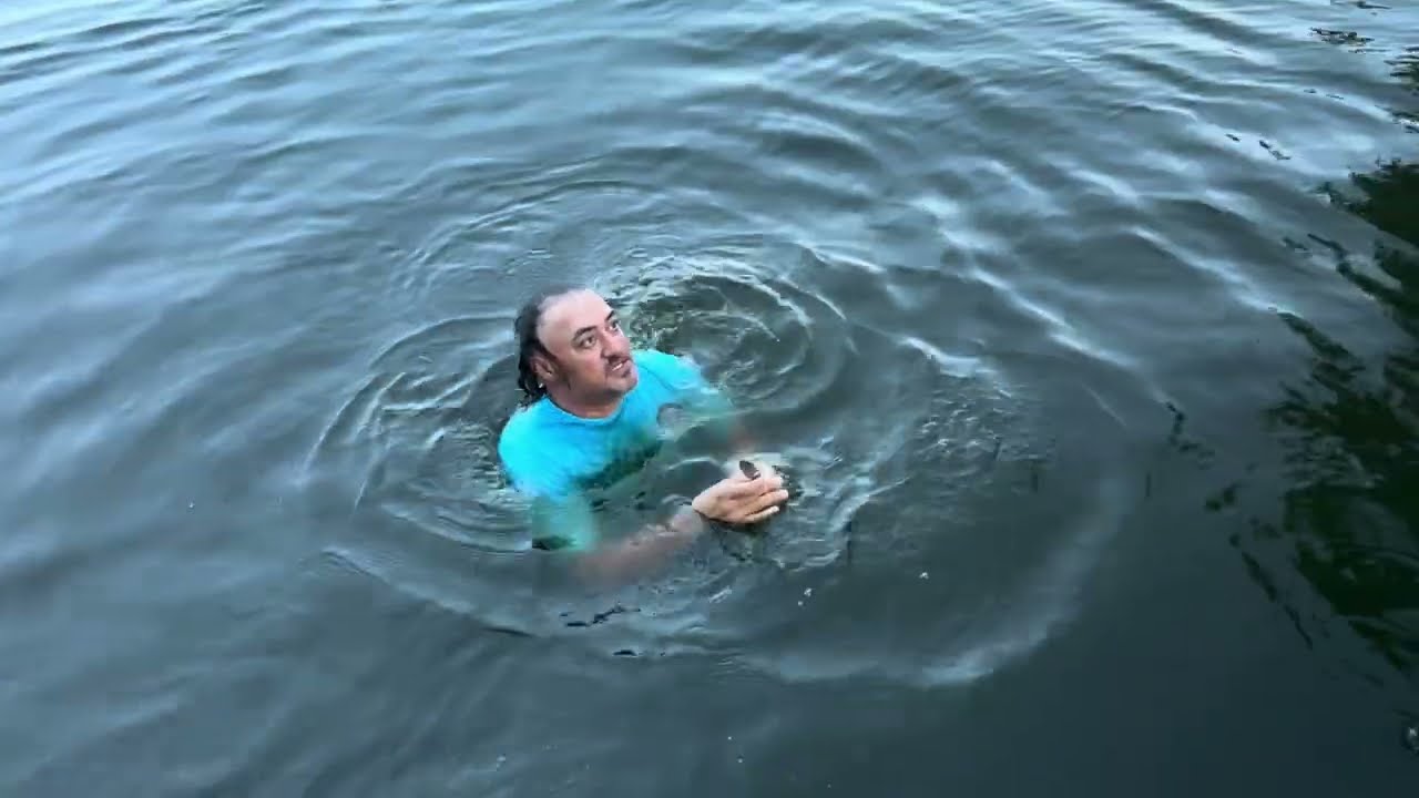 A CHEGADA DO POMBO CORREIO EM TIRINGA | TURMA DA CHÁCARA