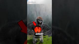 Mengapa Tidak Ada Kebun Binatang yang Bisa Menampung King Kong?
