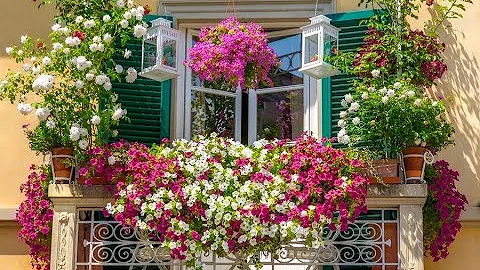 ТОП-30 НЕПРИХОТЛИВЫХ РАСТЕНИЙ ДЛЯ БАЛКОНА #BALKON_FLOWERS #ЦВЕТУЩИЕ #БЕГОНИЯ #oldenburgru#140