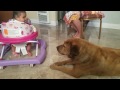 Baby + Dog = Best Friends