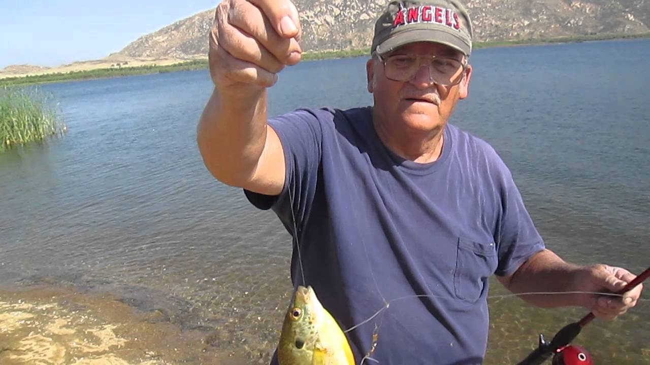 Sam's messed up line catches a redear at lake Perris