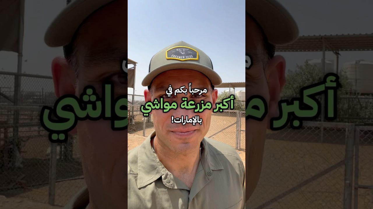 أكبر مشروع مواشي في الإمارات 🇦🇪