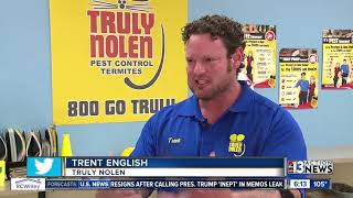Las Vegas pest control companies receive an uptick in calls after earthquakes