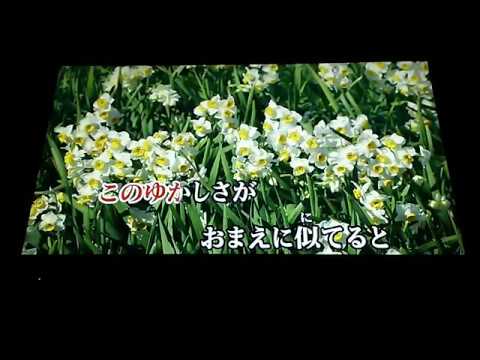 八代亜紀　「花水仙」　1976　~cover