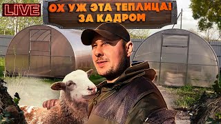 ГОРОДСКАЯ В ТЕПЛИЦЕ, ЗА КАДРОМ! АВТОМАТИКЕ БЫТЬ!