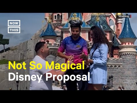 Disney Apologizes to Couple For Interrupted Marriage Proposal – NowThis News