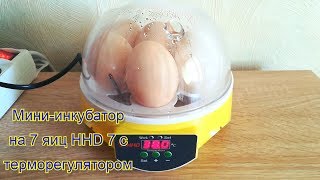 Мини-инкубатор на 7 яиц HHD 7 с терморегулятором. День 1