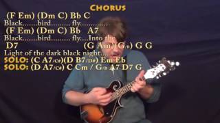 Blackbird (The Beatles) Mandolin Cover Lesson with Chords/Lyrics screenshot 5