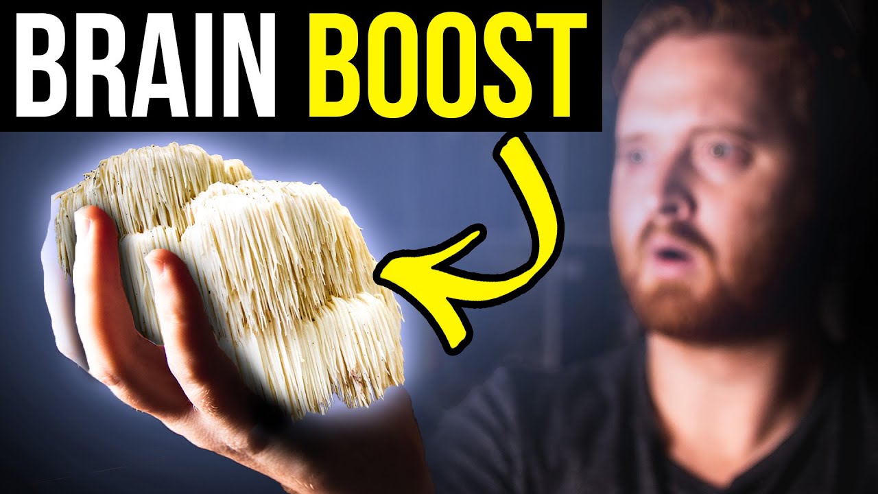 Lion's Mane Surprising Benefits For The Brain YouTube