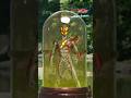 【公式切り抜き】ZEZTZ CLIP Case21 溢れる #仮面ライダーゼッツ #shorts