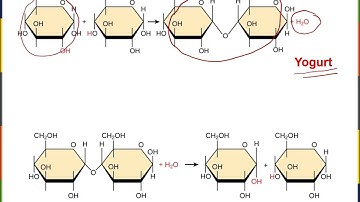 Biology2E Ch3 MChen Lecture Video Part1