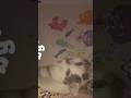 Sketching fish w cat!