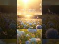 Peaceful Meadow Ambience 🌸🦋 | Soft Wind &amp; Butterflies for Sleep &amp; Study