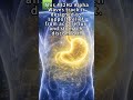 For Acid Reflux Relief | Deep Stomach Healing Digestion 432Hz Alpha Meditation music healing body