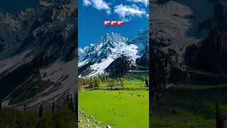 #viralvideo #shortvideo #tredingvideo #sadvideo #sadtsory