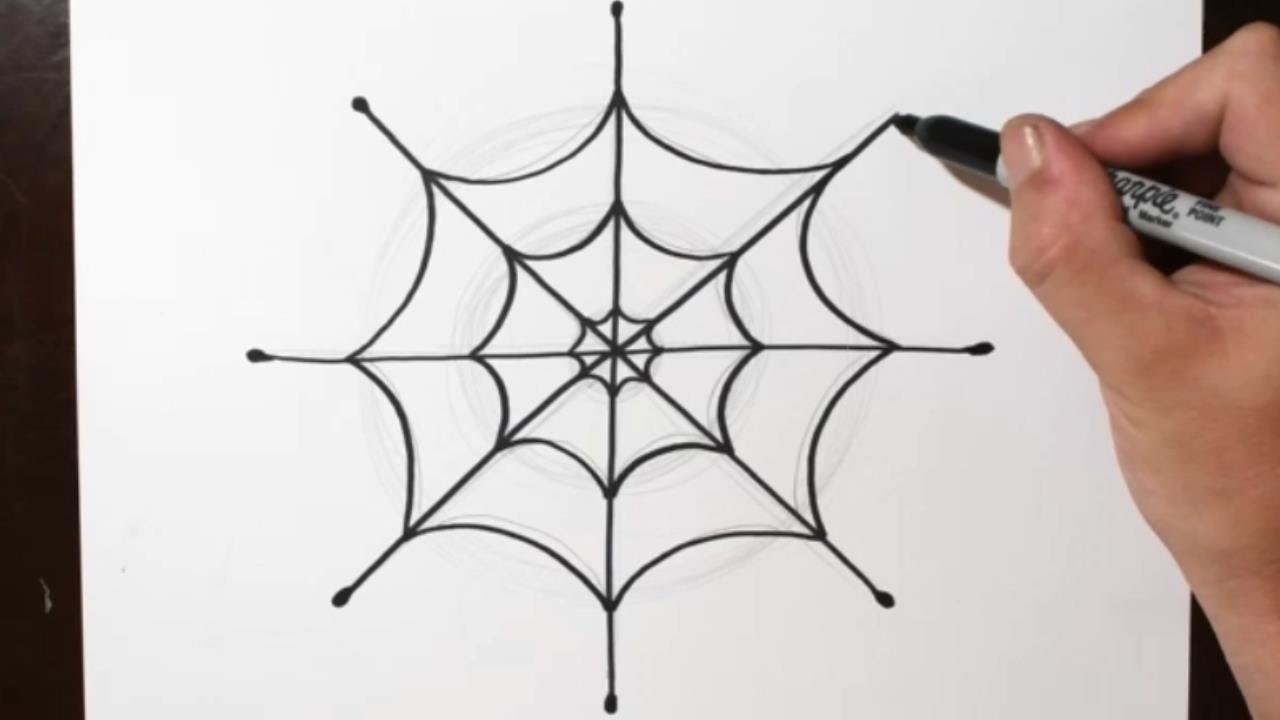 How to Draw a Spider Web / Easy Step by Step Drawing Guide 