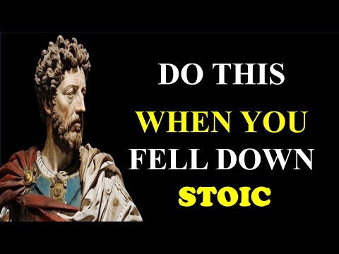 12 STOIC Remedies