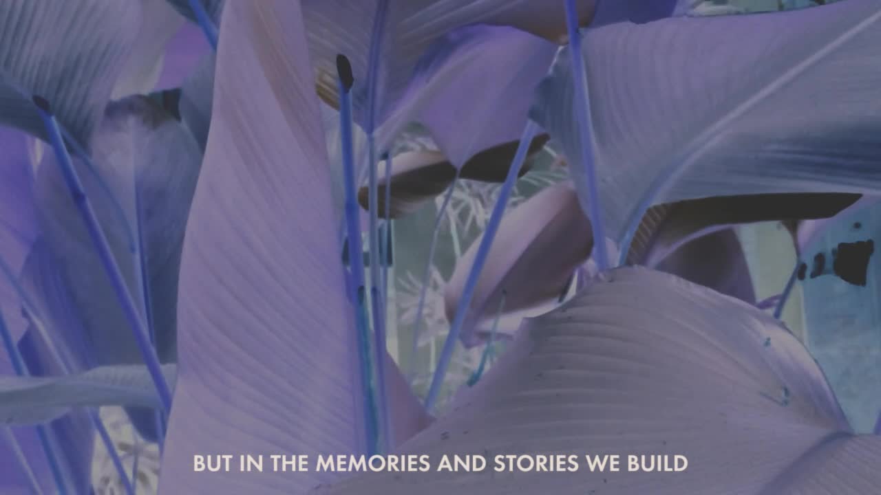 Sleduj José González - Stories We Build, Stories We Tell (Lyric Video) na YouTube Sleduj José González - Stories We Build, Stories We Tell (Lyric Video) na YouTube