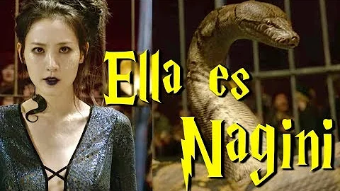 ¿Es Nagini un animago en Harry Potter?