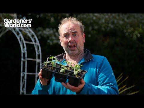 The ultimate SLUG HACK, every gardener wishes they knew thumbnail