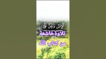 قرأن كريم تلاوة خاشعة راحة نفسية #قران_كريم #قرآن #elmulquranعلم