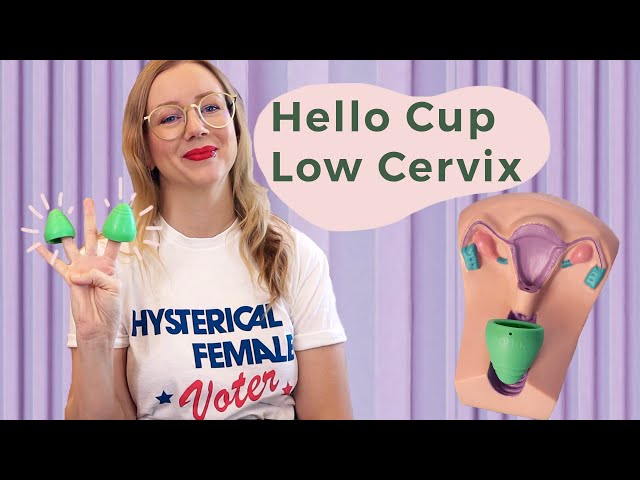 Beppy Cup Review  Designed for Period Sex - Period Nirvana