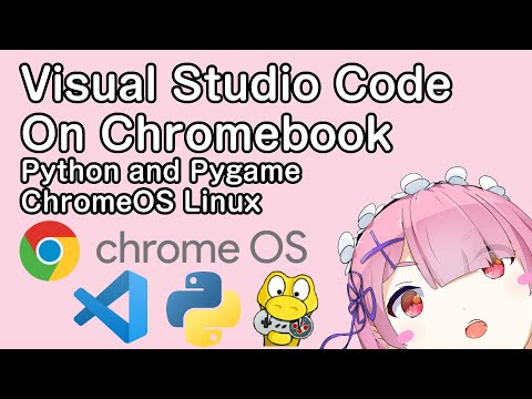 How to Install Visual Studio Code and Python on Chromebook