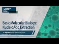 Nucleic Acid Extraction Quiz
