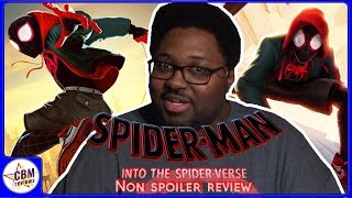 Spider-Man Into the Spider-Verse Non Spoiler Review 2018