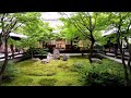 京都禅寺の雨音