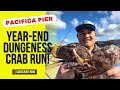 🦀Year-End Dungeness Crab Run! Rough Swell Turns Into a Great Day at Pacifica Pier