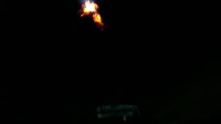 Proline Ultralegend Bus