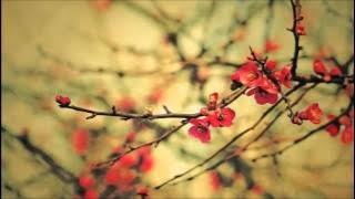 Manipuri Gospel Song- Bible Khutta Pairaga