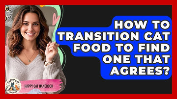 How To Transition Cat Food To Find One That Agrees? - Happy Cat Handbook