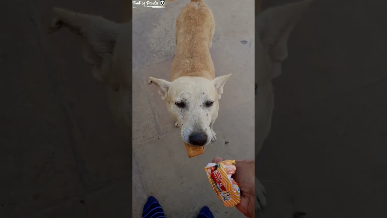 A Solo Trip to Lucknow 🕊💫 |Travel Vlog 