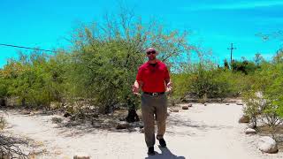 Moving to Tucson? See Why Sabino Canyon Is a Must-Know Area