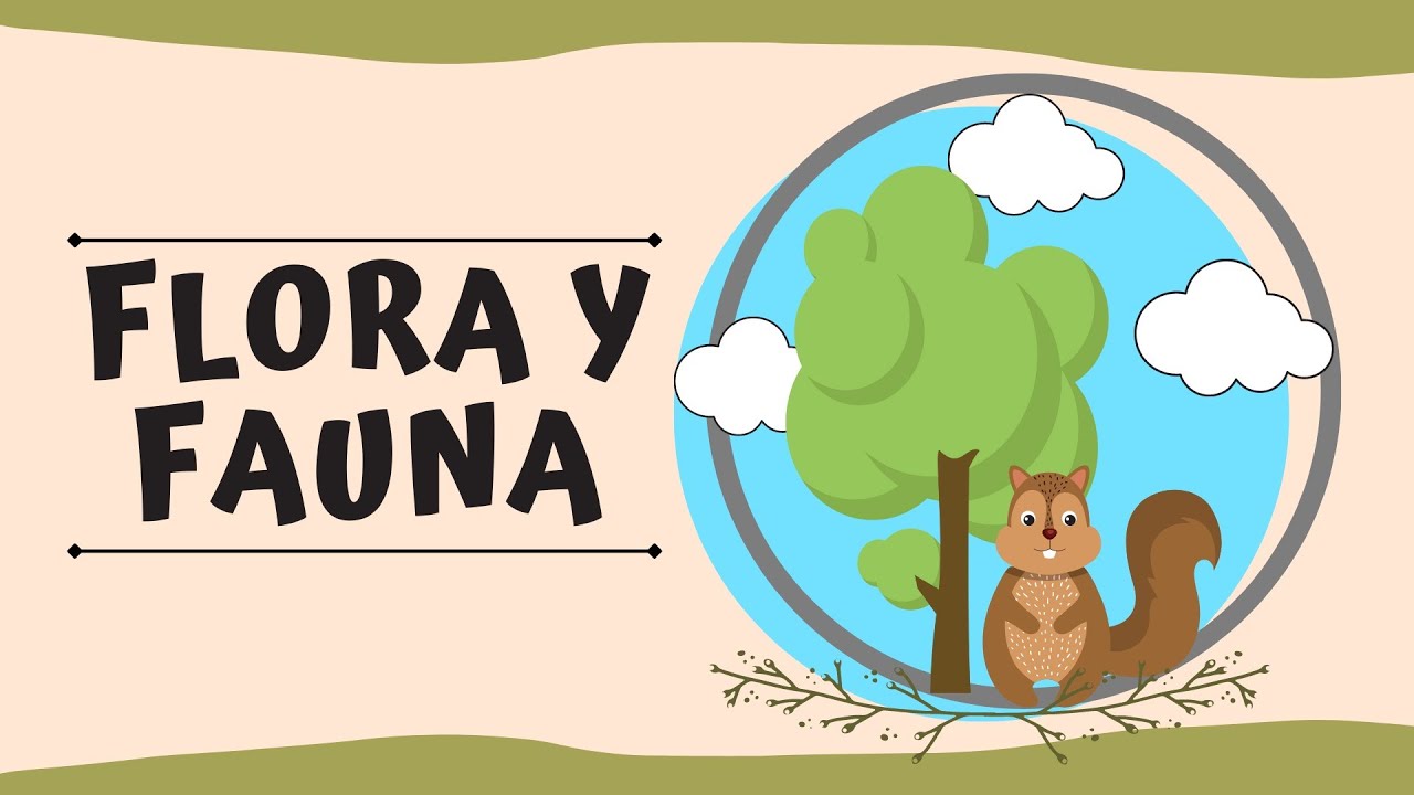 Qué es la flora y fauna? - thptnganamst.edu.vn