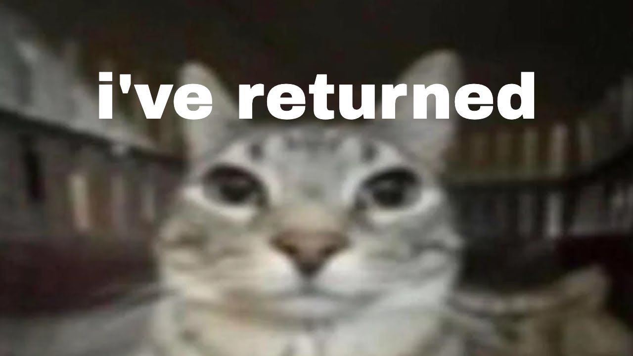 i've returned... - YouTube