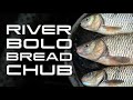 River, Bolo, Bread & Chub