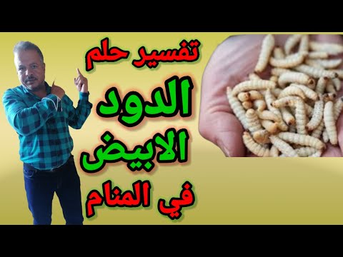 هذا الحلم يبشرك بأنك ستصبح من السعداء في الأرض حلم الدود الأبيض