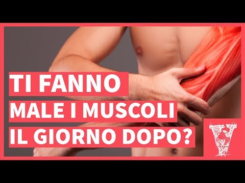 Video: Perché I Muscoli Fanno Male Dopo L'allenamento?