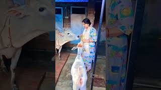 mera beta ji police #viral #emotional #youtube