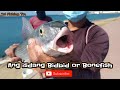 Ang kwento ng isdang Bidbid or Bonefish - جدة