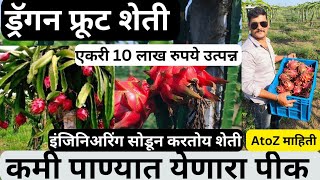 Dragon fruit farming, इंजीनियरिंग सोडून करतोय ड्रॅगन फ्रुट शेती, एकरी 10 लाख रुपये उत्पन्न. ?✅?