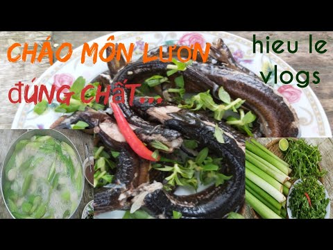 Hướng dẫn Cách nấu cháo lươn – Cách nấu CHÁO MÔN LƯƠN- món này ăn thì lủng nồi luôn-săn bắt ẩm thực hieule vlogs.