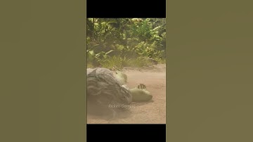 HULK now vs The Incredible Hulk 🔥 | #shorts #marvel #hulk #hulkclap #theincrediblehulk #attitude